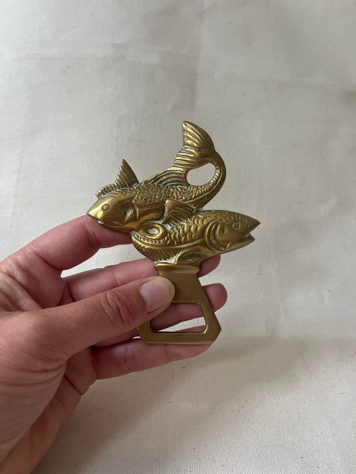 Vintage opener vissen