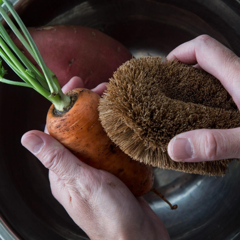 Kokosborstel voor groente en bloempotten