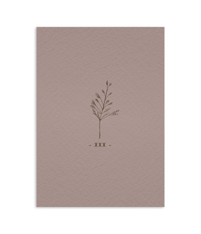 Ansichtkaart XXX dryed flower collectie