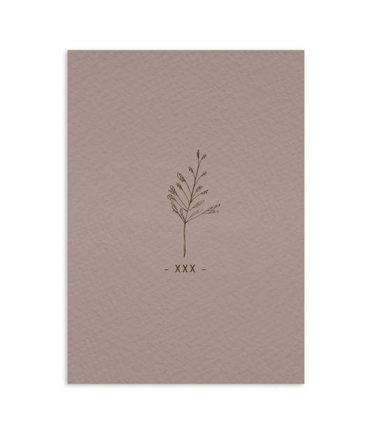 Ansichtkaart XXX dryed flower collectie