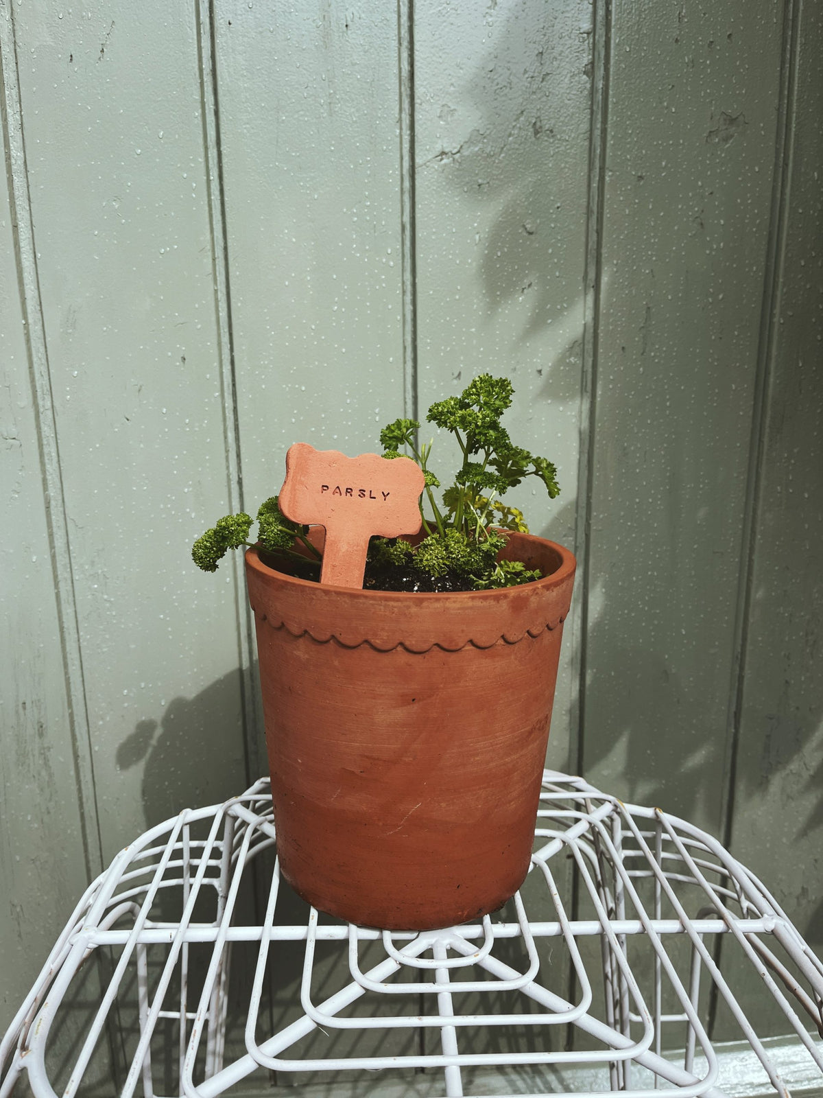 Terracotta plantenlabels