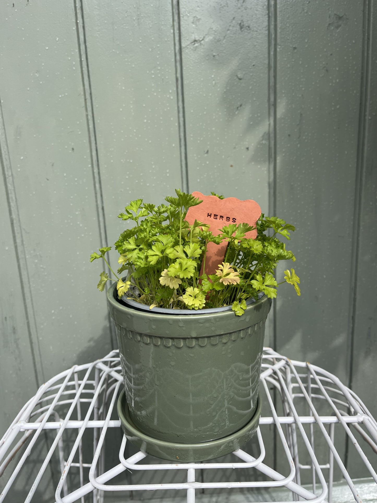 Terracotta plantenlabels