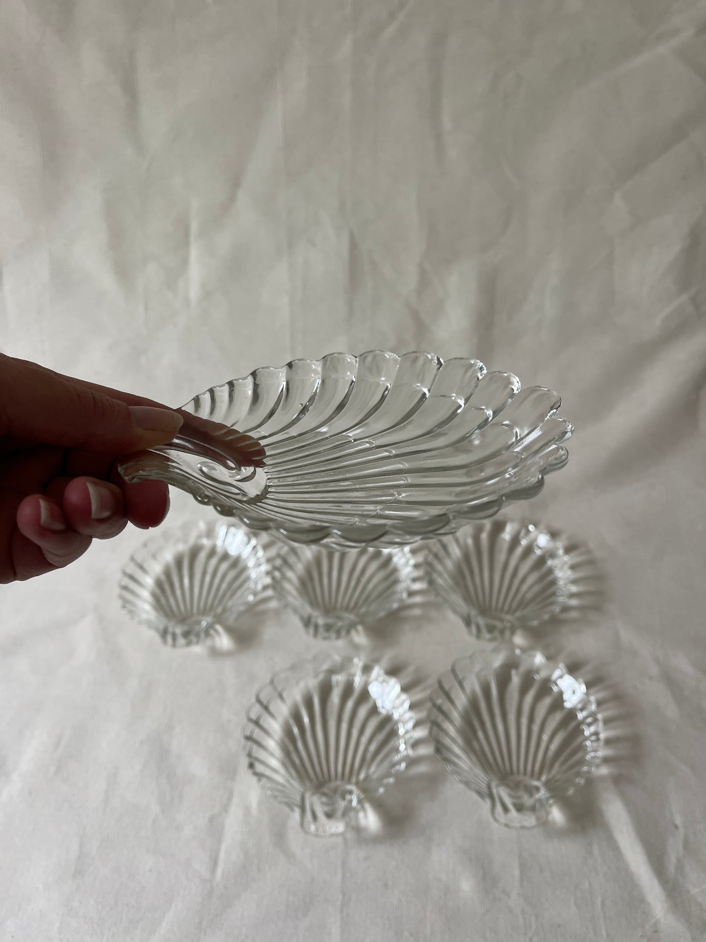 Set van zes glazen schelp schalen