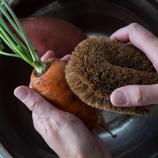 Kokosborstel voor groente en bloempotten