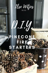 Pinecone firestarters DIY.