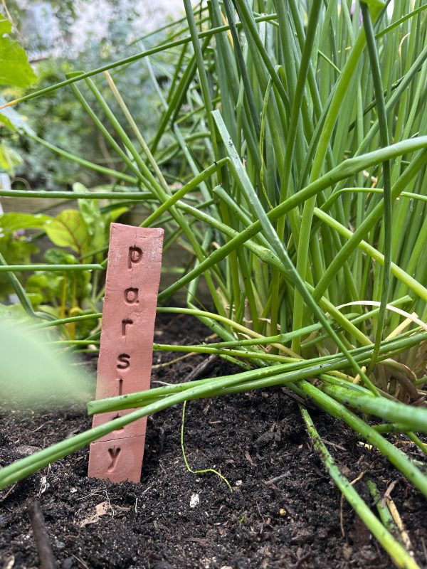 plantenlabel terracotta markers