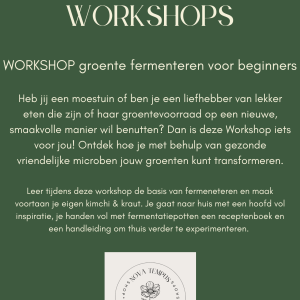 workshop fermenteren voor beginners